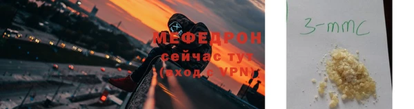 индика Новодвинск