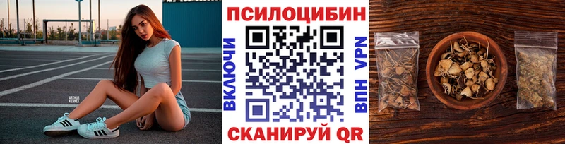 Псилоцибиновые грибы Psilocybe  Троицк 