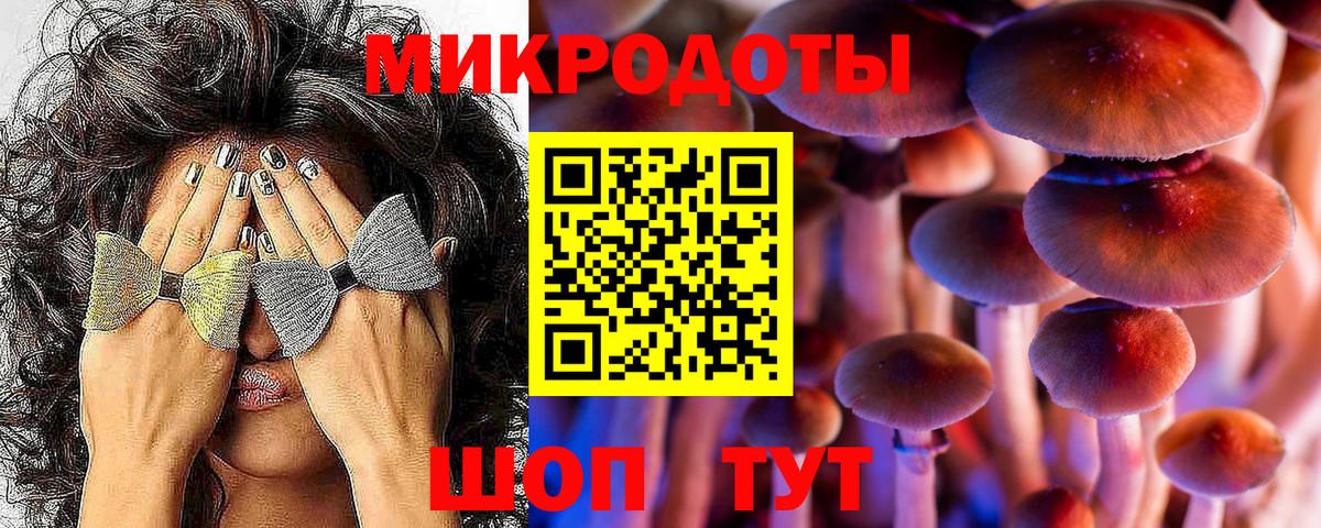 Галлюциногенные грибы прущие грибы  Вход с VPN  Троицк 