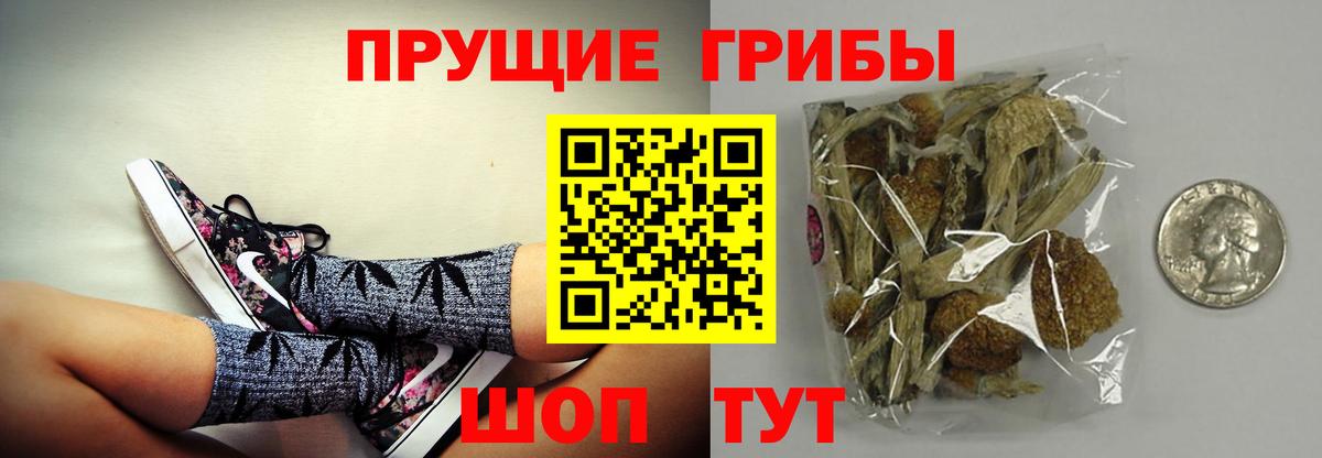 Псилоцибиновые грибы мухоморы Троицк